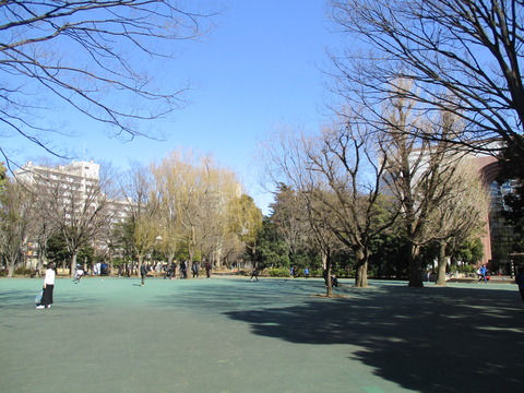 195戸山公園４