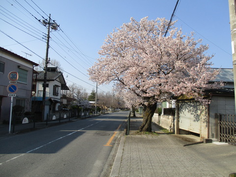 04右に北桜通り