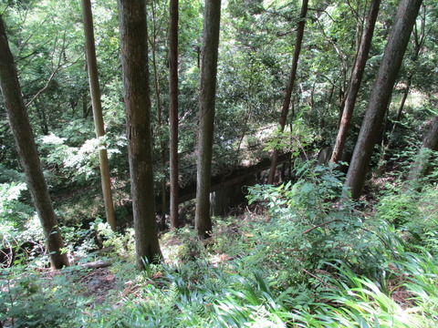 85線路沿い5