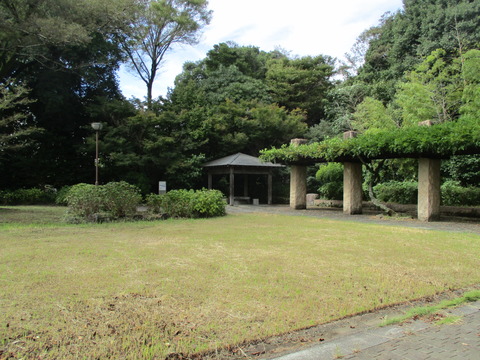 116旧河野邸7