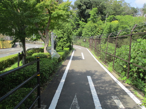 85多摩湖自転車歩行者道5