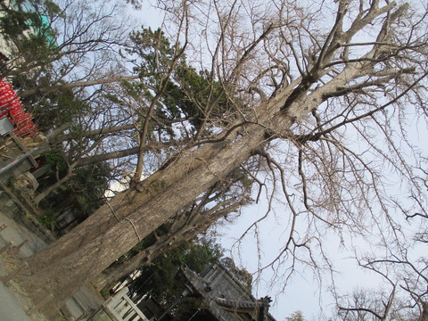 15亀岡八幡宮１２