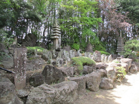 140裏庭3