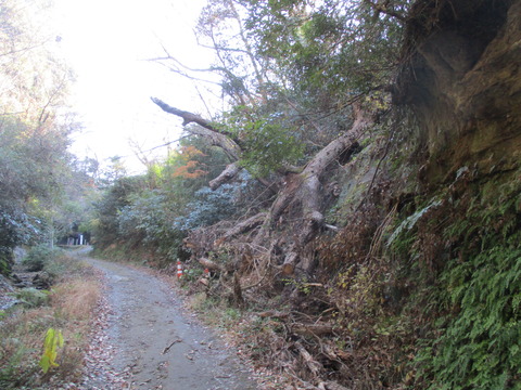 66太刀洗川沿い4