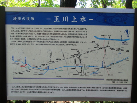76井の頭橋2