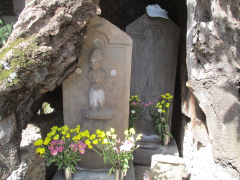 175円泉寺4