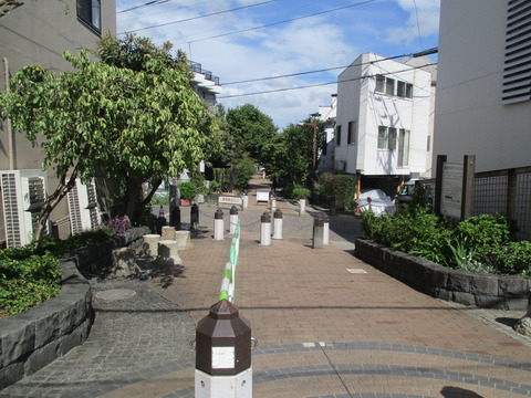 214再び烏山川緑道3