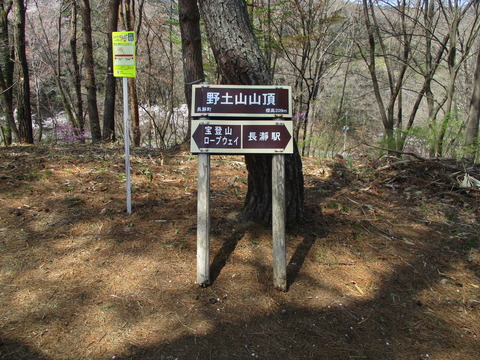 156野土山7