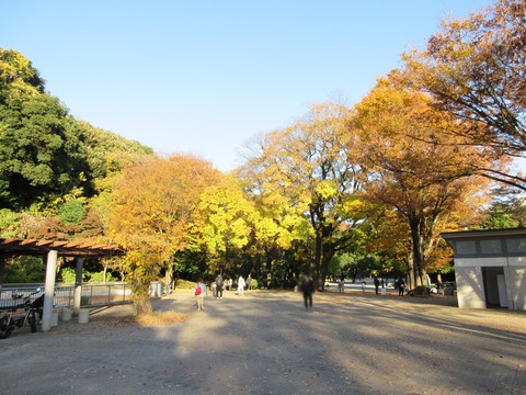 218戸山公園2