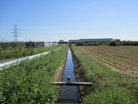 85皿沼橋4