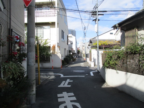 41春の小川道5
