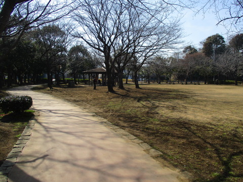 127公園内1