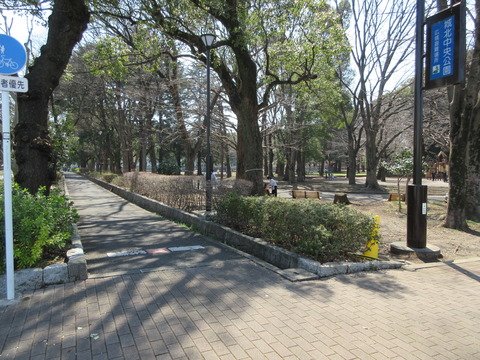 187桜川緑道7