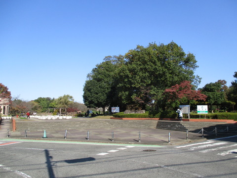 150西城沼公園1
