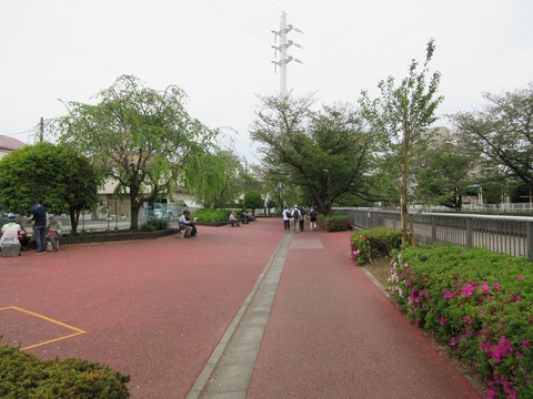 38つつじ２