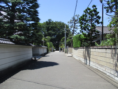 85道