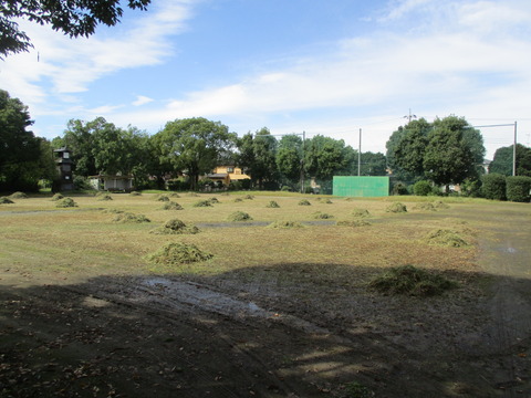 59城山公園2