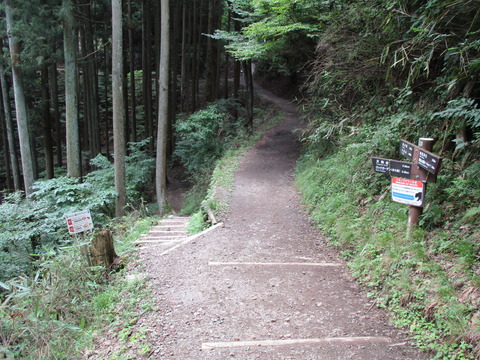 153さらに分岐点
