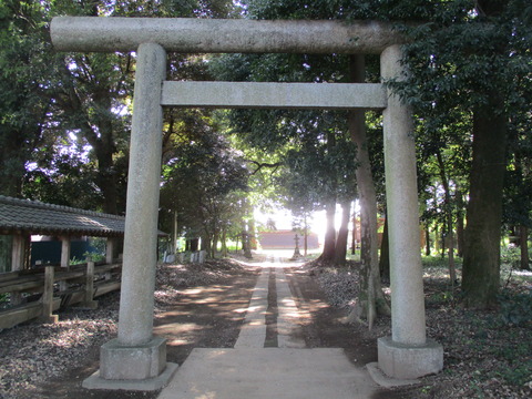 213八幡神社3