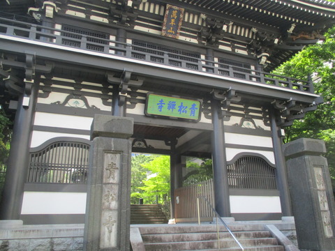 166青松寺3
