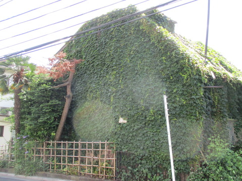 161アトリエ村跡4