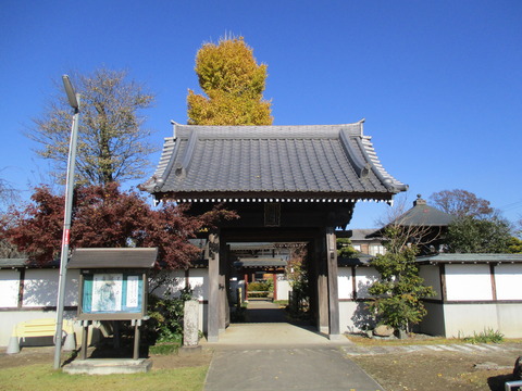 119善徳寺2
