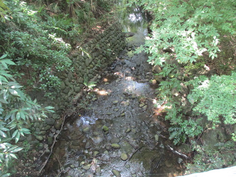 21吊り橋4