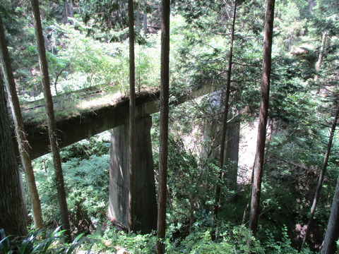 87線路沿い7