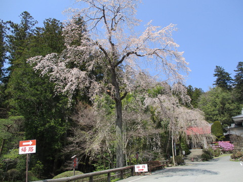 147宝登山神社８