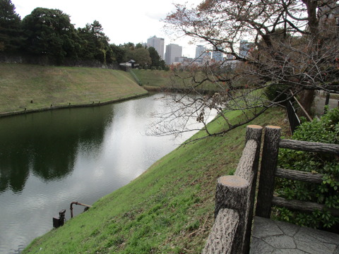 47千鳥ヶ淵公園4
