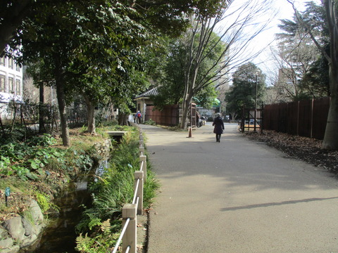 60散歩道19