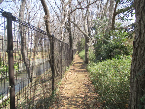 109さらに緑道1