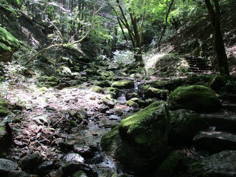 179沢沿い3