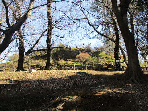 135箱根山1