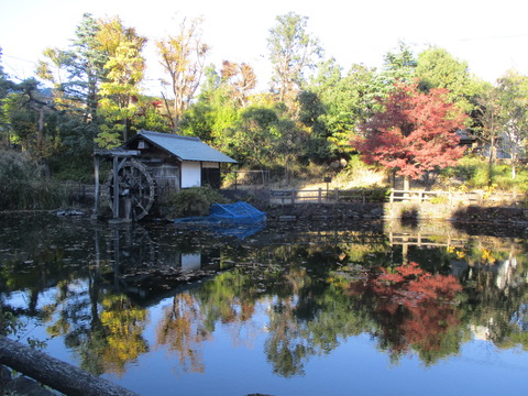 140鍋島松濤公園10