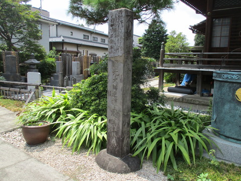67称往院5