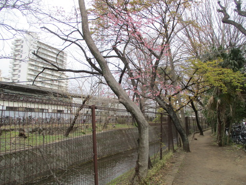 49駅東側4