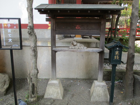 121子育て犬1