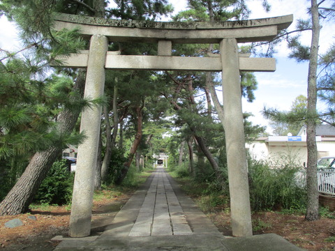 126参道5