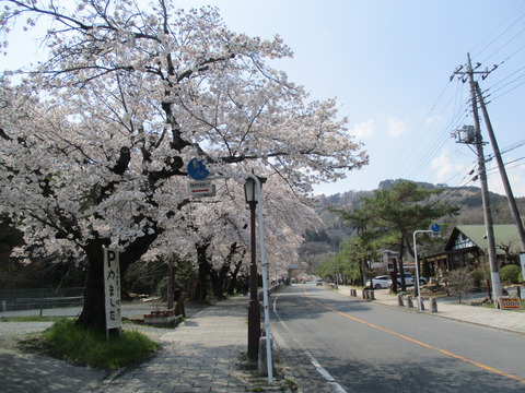 163宝登山神社参道１