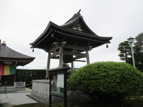264金蓮院16
