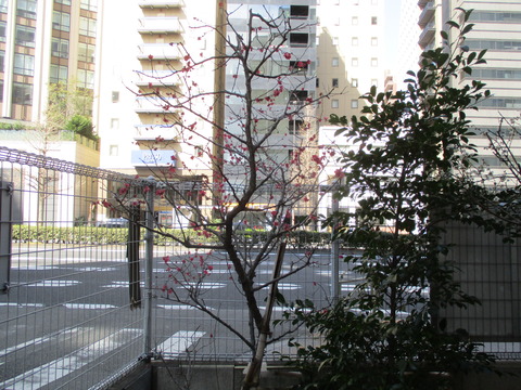 96天満宮7