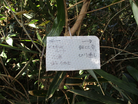 150果樹園へ2