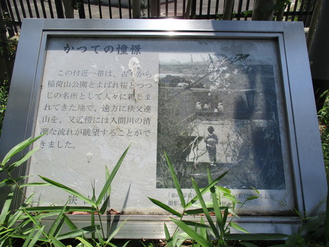 15展望台2