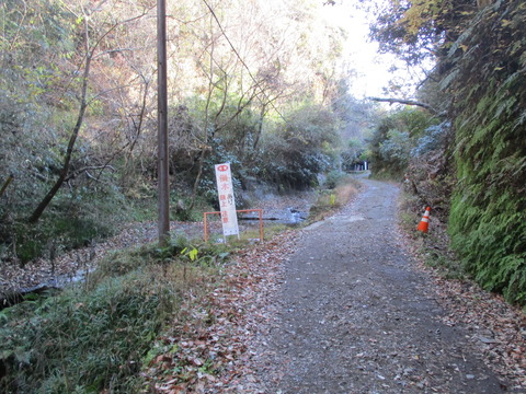 65太刀洗川沿い3