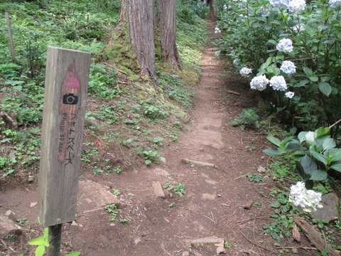 73対岸ルート3
