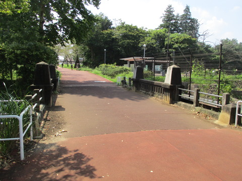 65広場12