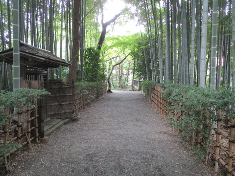 81妙光院4