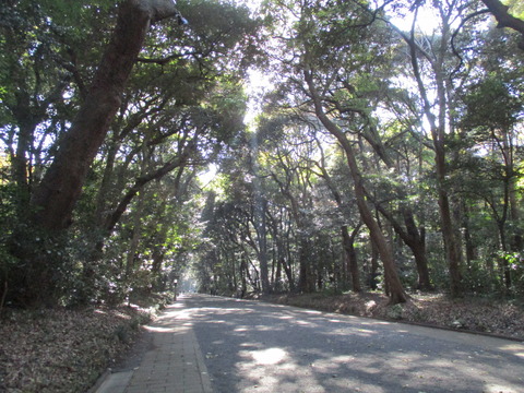 18北参道