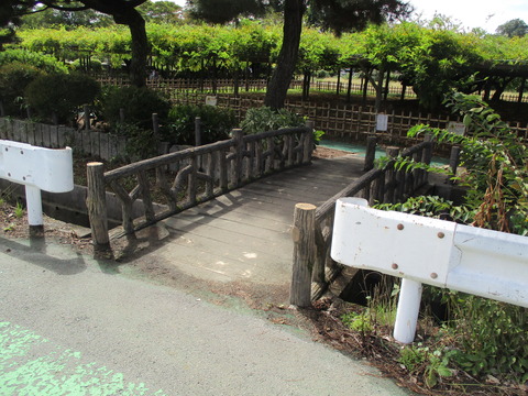 93玉敷公園3